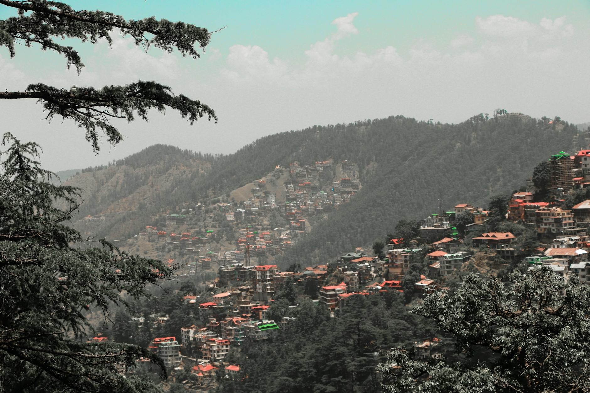 The Lifestyle — Shimla