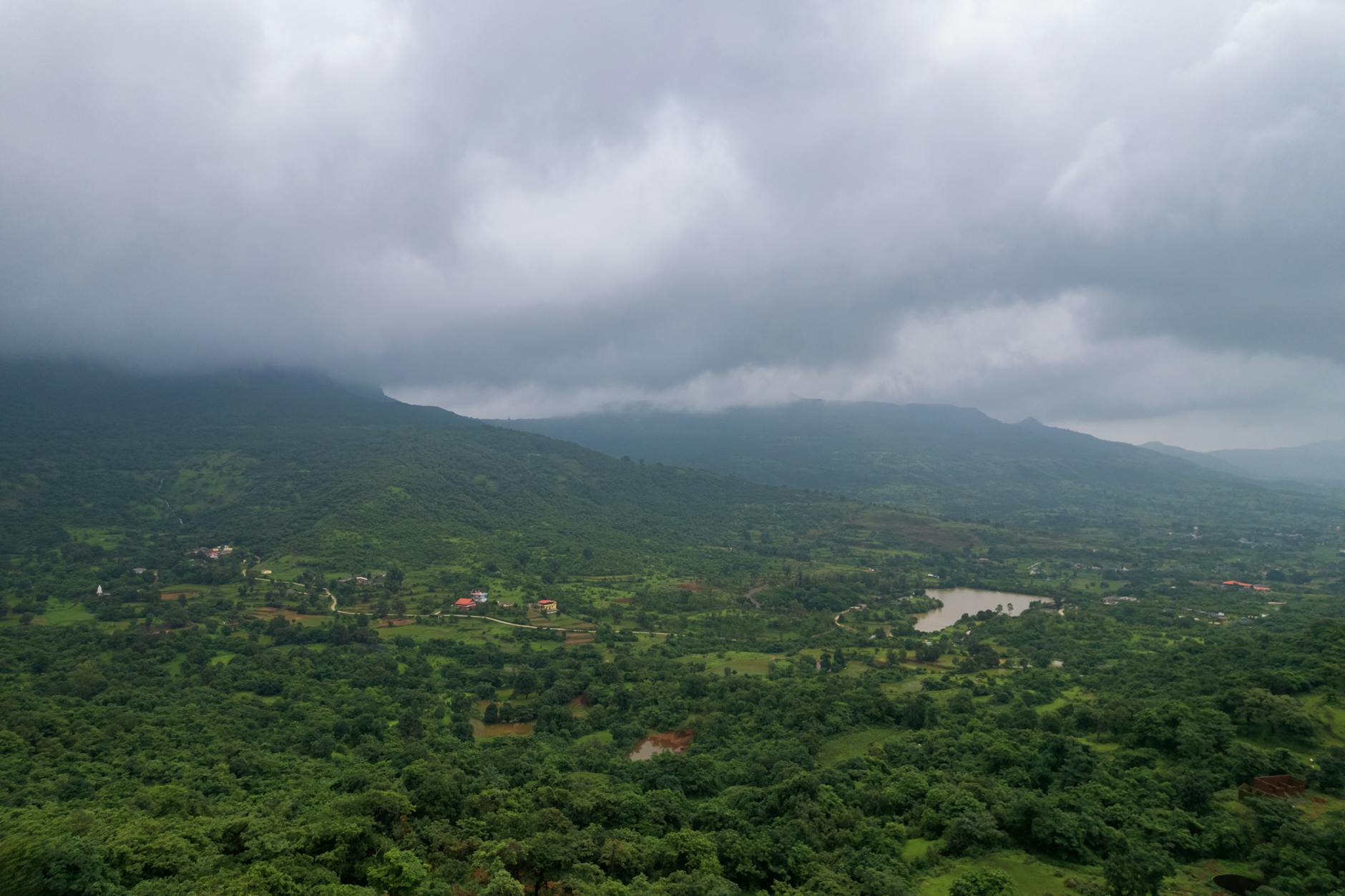 What to Expect — Shingdhol