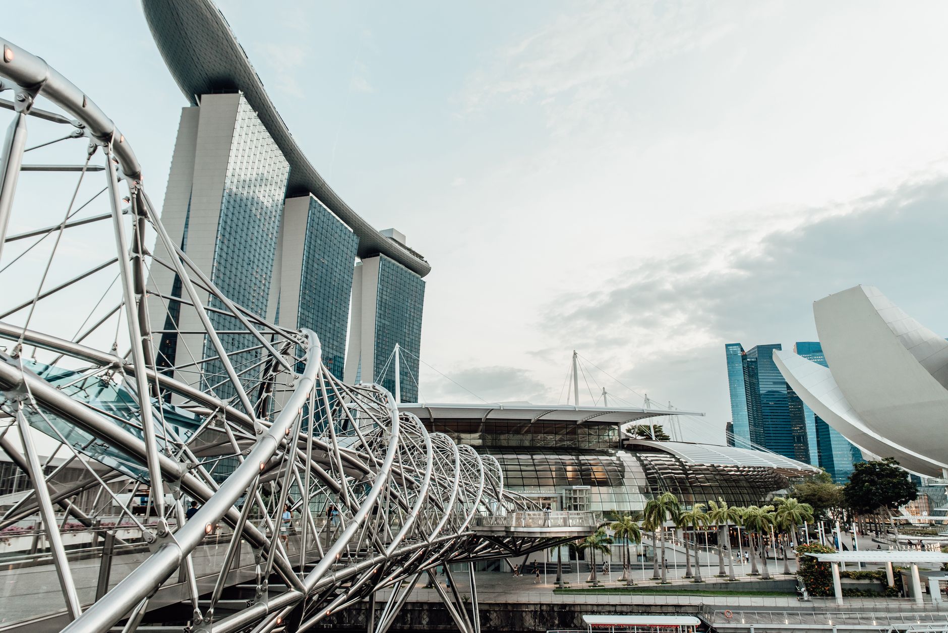 What to Expect — Singapore