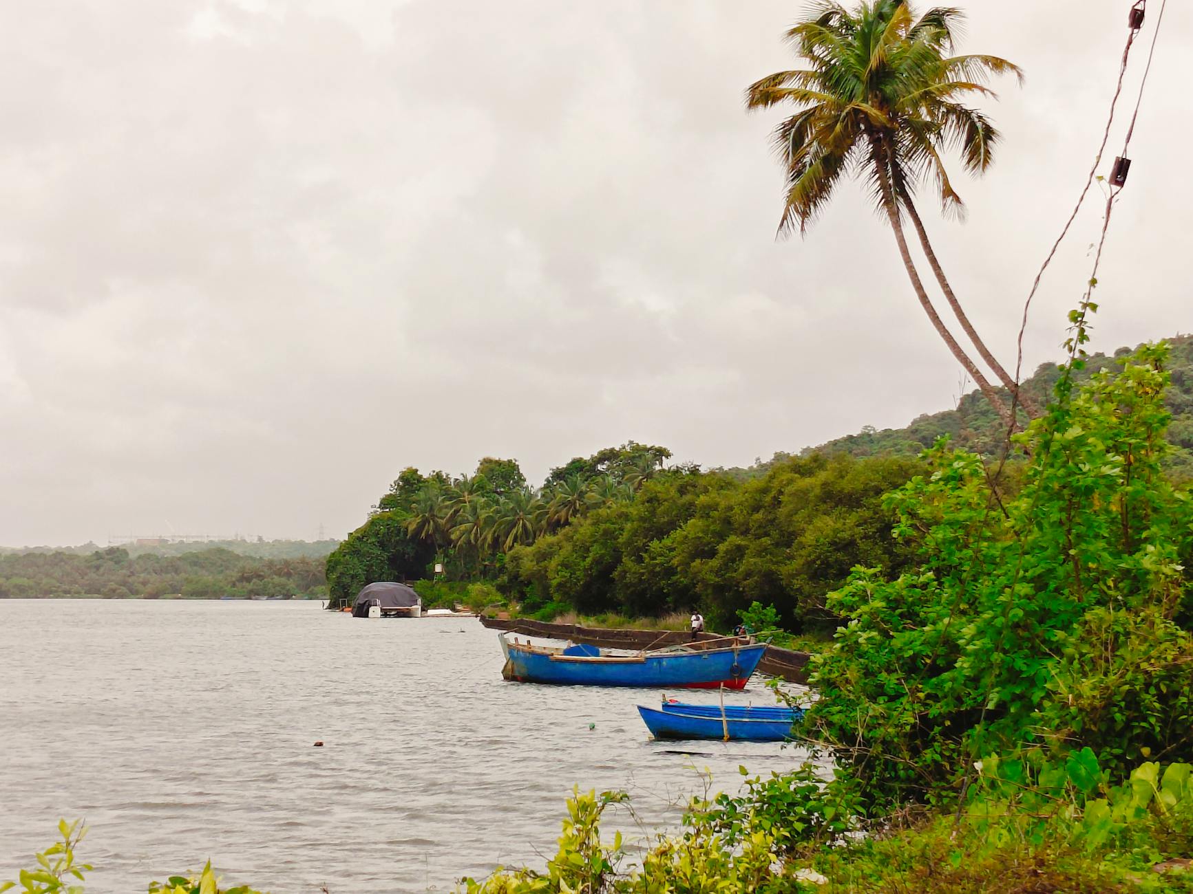 What to Expect — Siolim