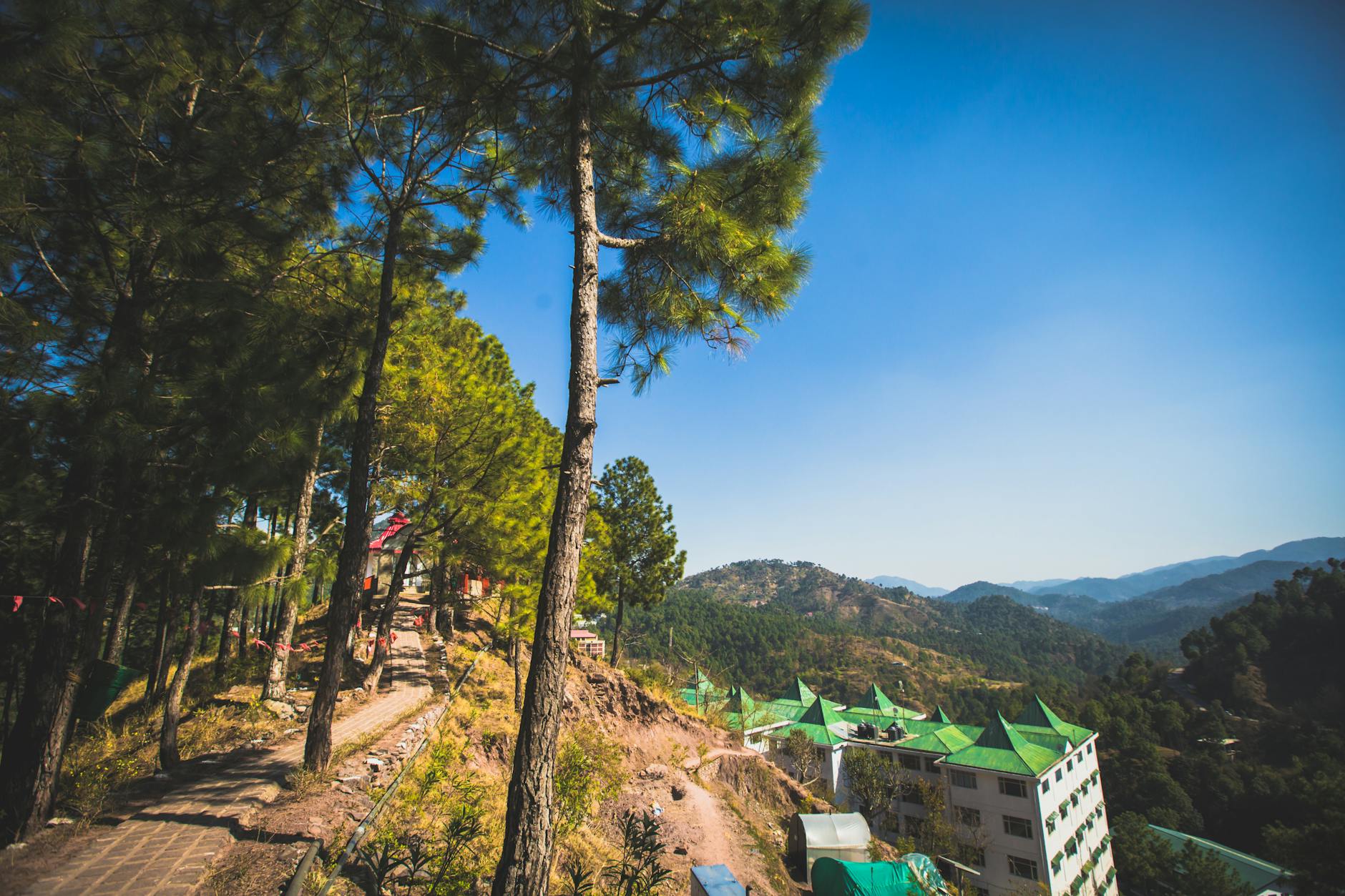 A Look into Solan — Solan