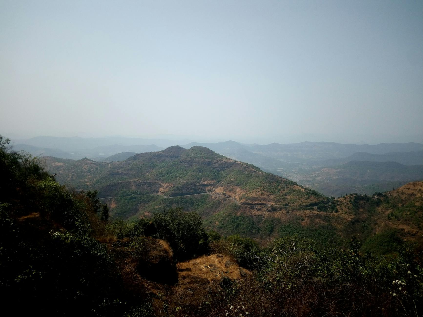 A Look into Tapola — Tapola