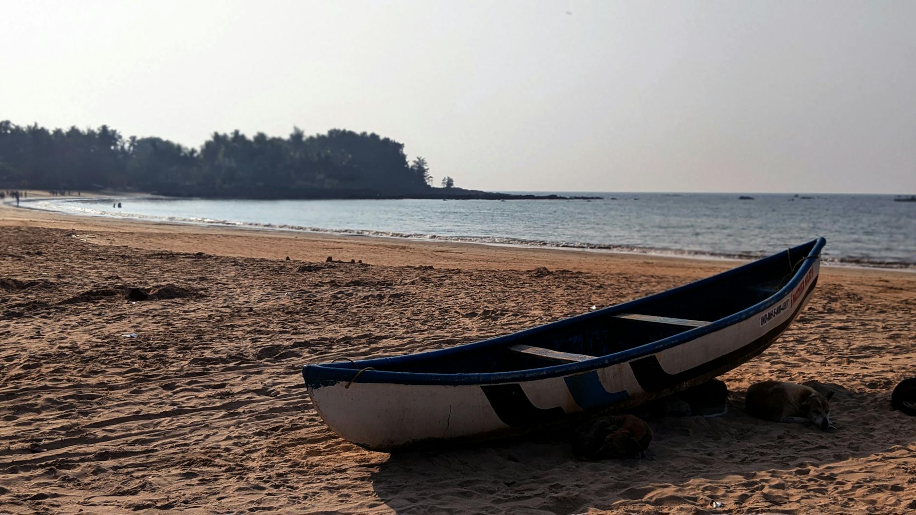 The Lifestyle — Tarkarli