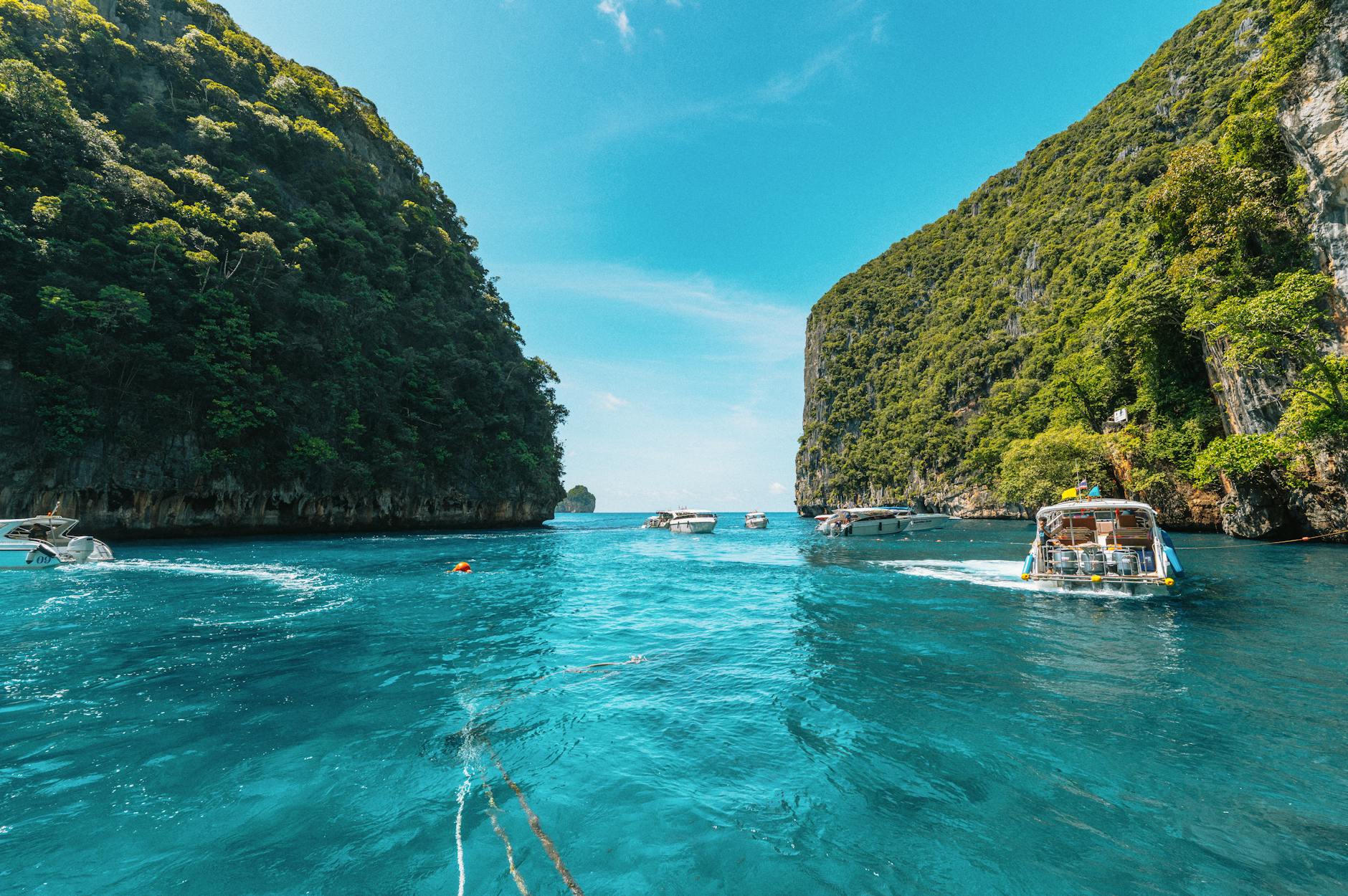 What to Expect — Thalang