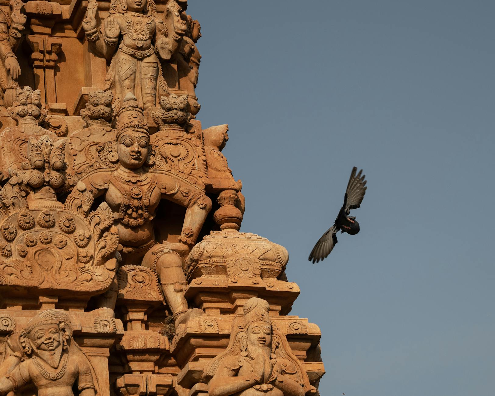 A Look into Thanjavur — Thanjavur