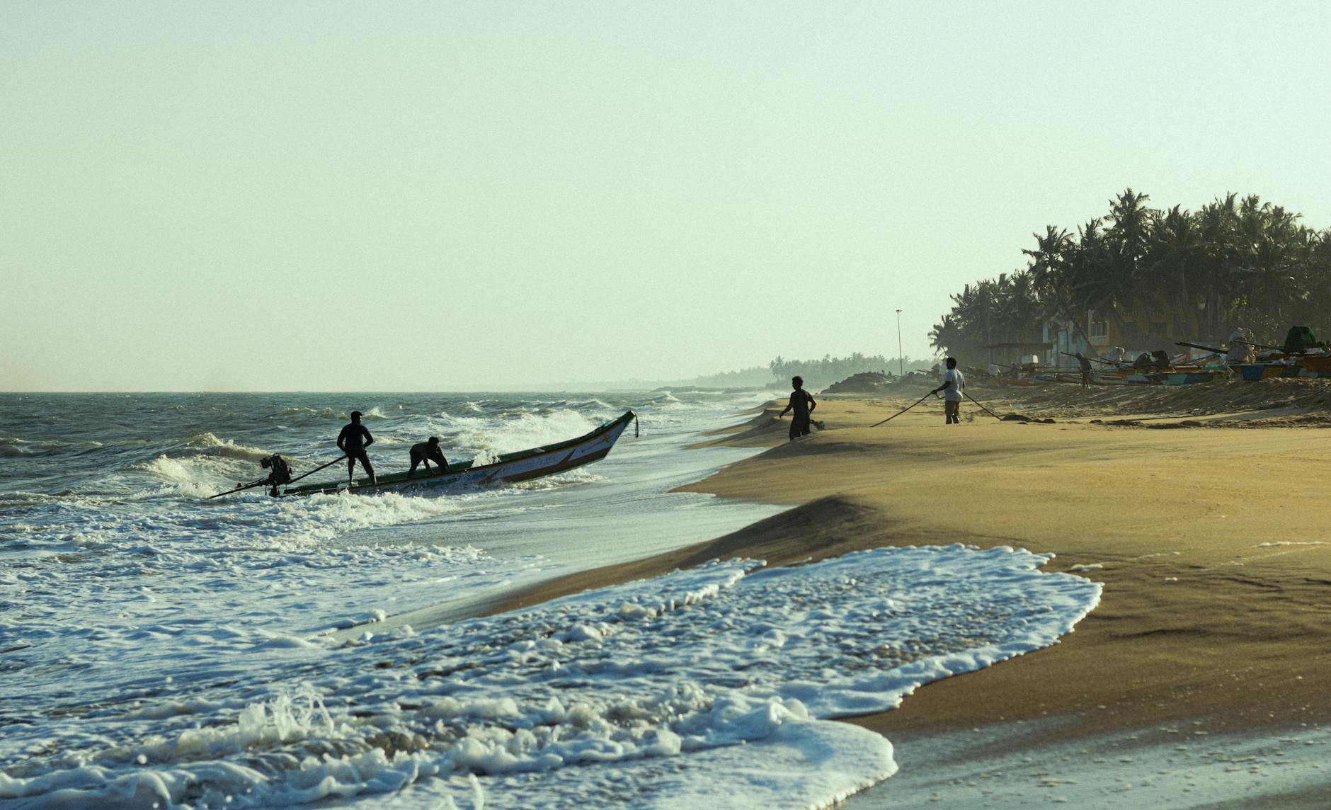 What to Expect — Thomas Beach