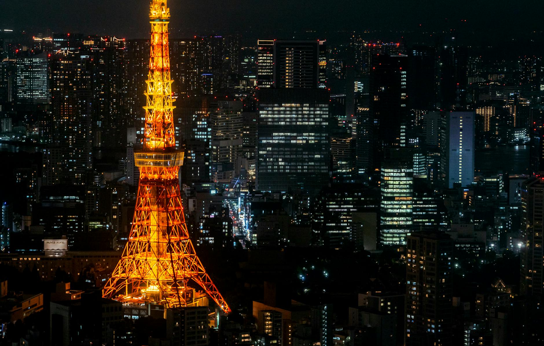 What to Expect — Tokyo