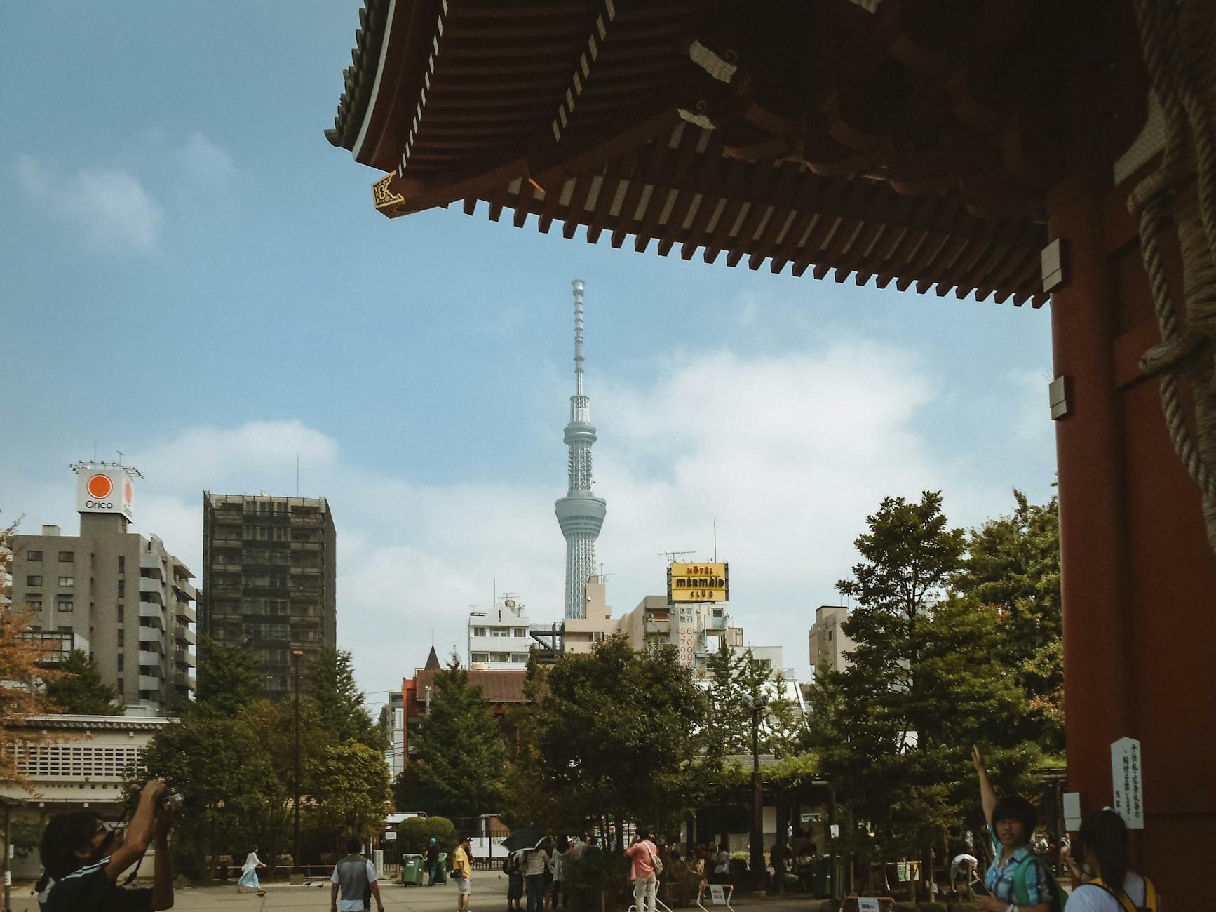 What to Expect — Tokyo Shimokitazawa