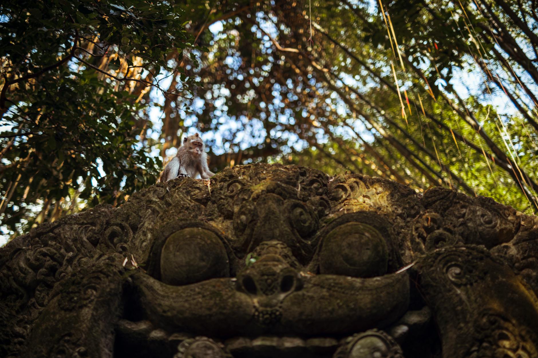 Nearby Attractions ā Ubud