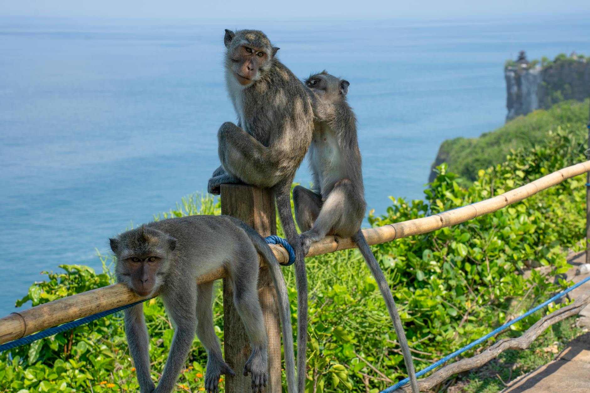 Nearby Attractions — Uluwatu