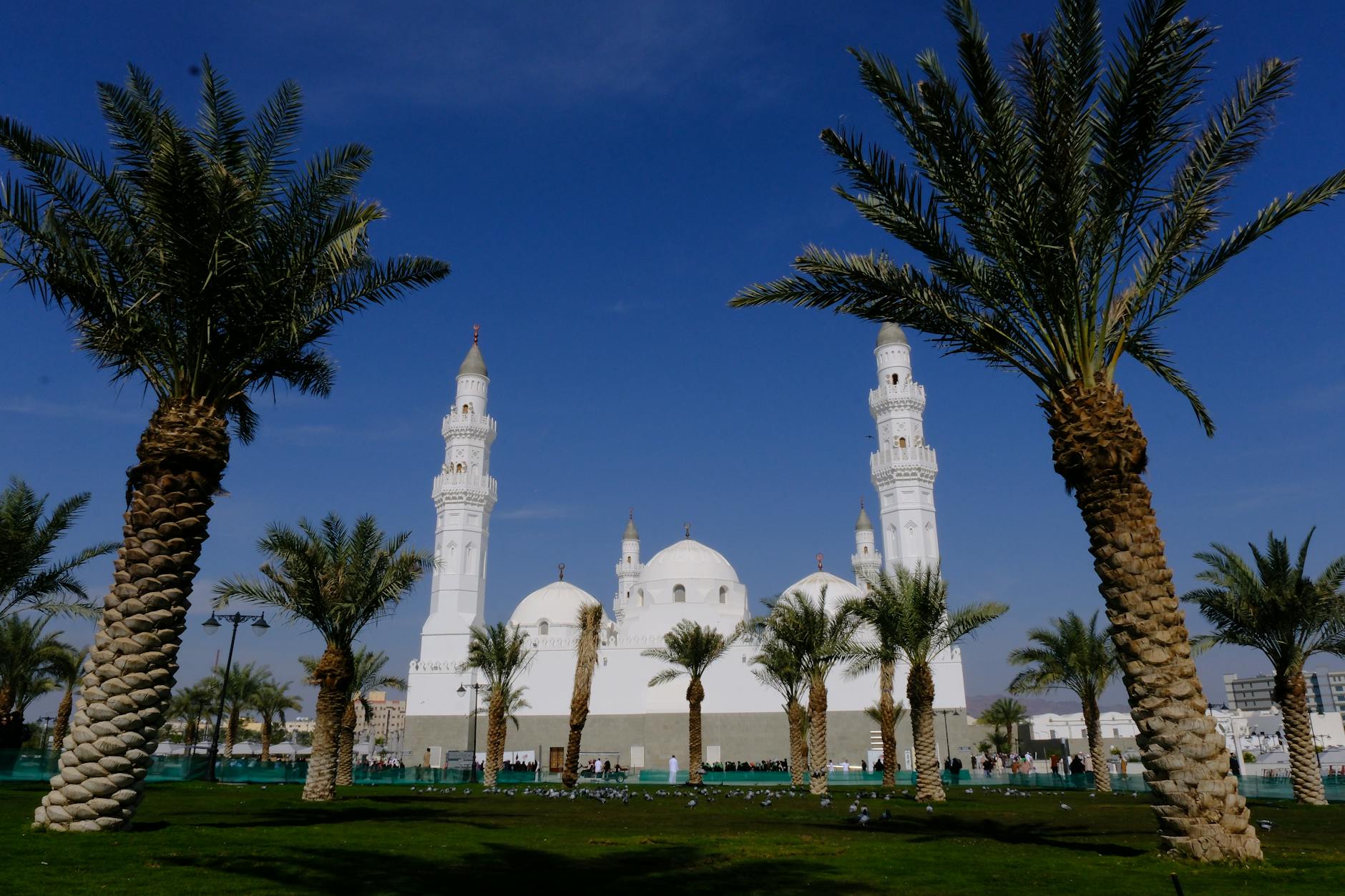 What to Expect — Umm Al Quwain