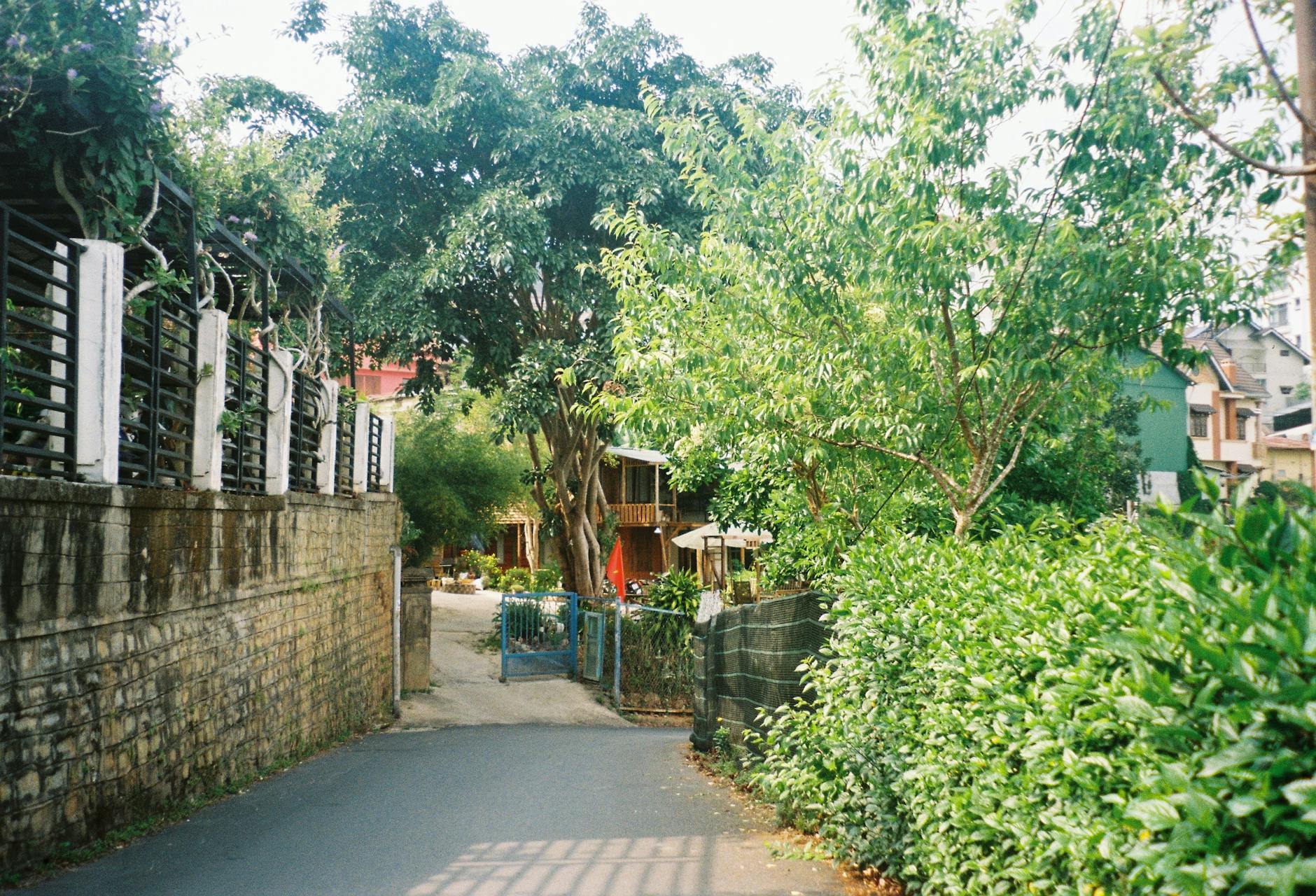 A Look into Varsoli — Varsoli