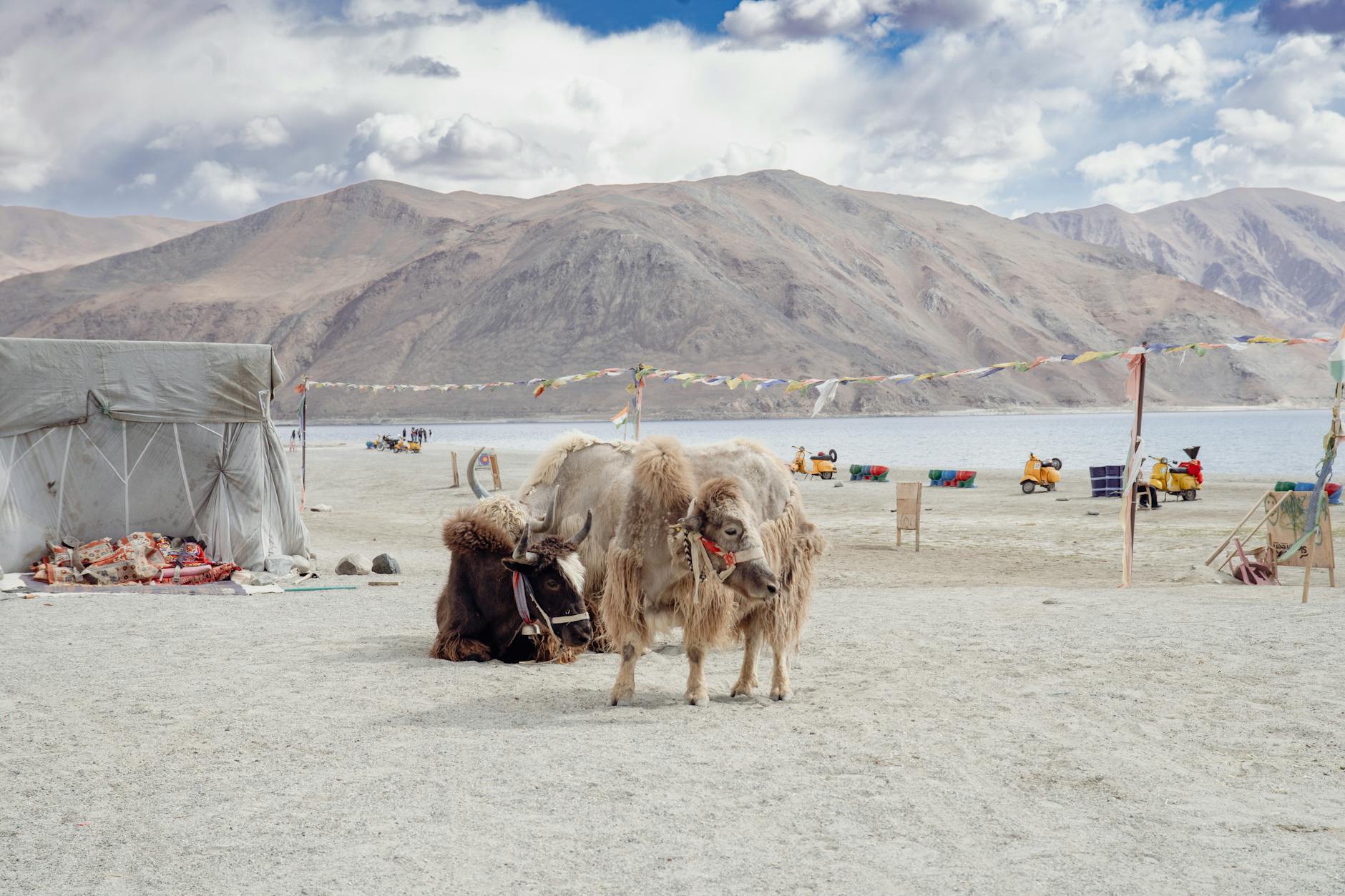 The Lifestyle — Wakhade