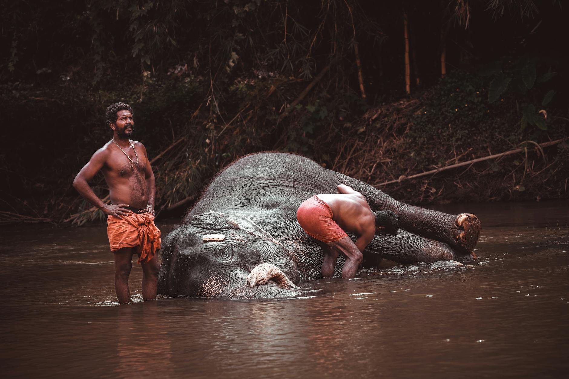 What to Expect — Wayanad