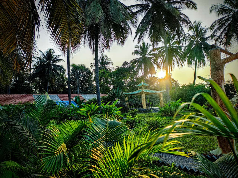 Bellevuee_2_Bellevuee_Farmlands_1